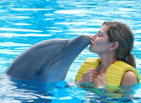 Dolphin Tours Nassau