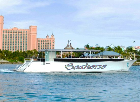 Nassau Sailing Cruise